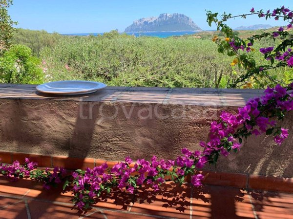 casa indipendente in affitto ad Olbia in zona Porto Istana