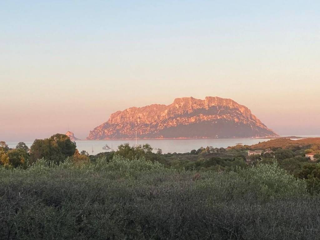 casa indipendente in affitto ad Olbia in zona Porto Istana