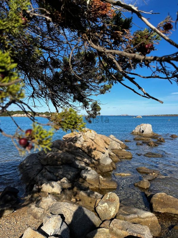 appartamento in affitto ad Olbia in zona Rudalza