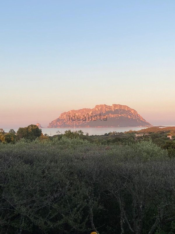 casa indipendente in affitto ad Olbia in zona Porto Istana