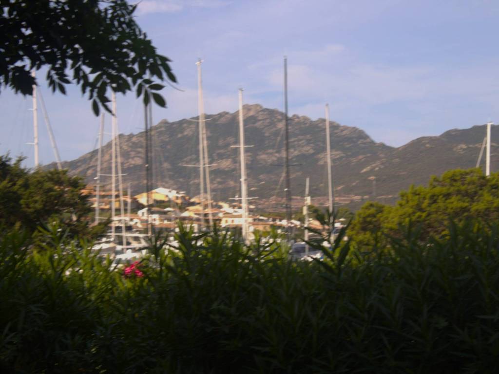 casa indipendente in affitto ad Olbia in zona Porto Rotondo