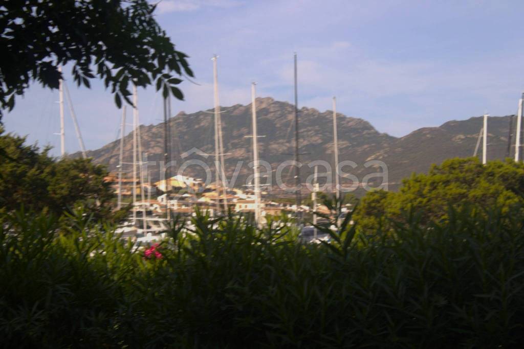 casa indipendente in affitto ad Olbia in zona Porto Rotondo