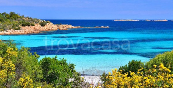 appartamento in affitto ad Olbia in zona Porto Rotondo