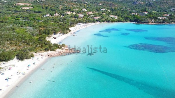 appartamento in affitto ad Olbia