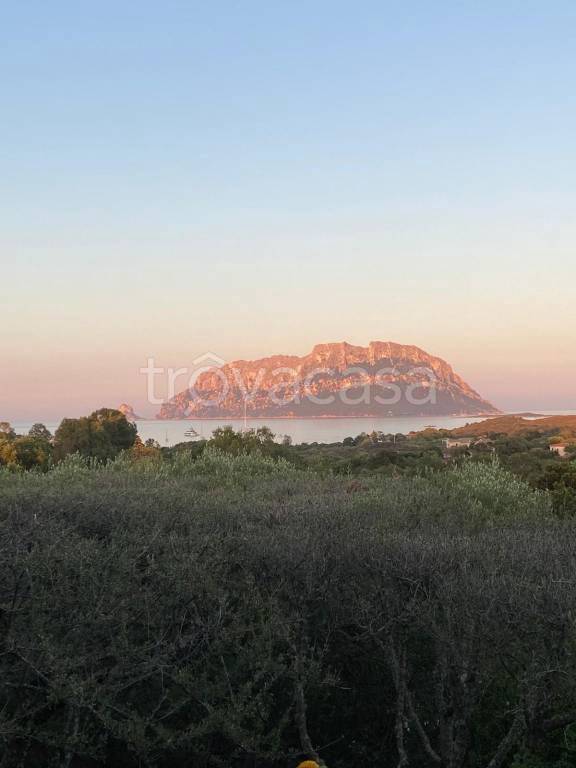 casa indipendente in affitto ad Olbia in zona Porto Istana