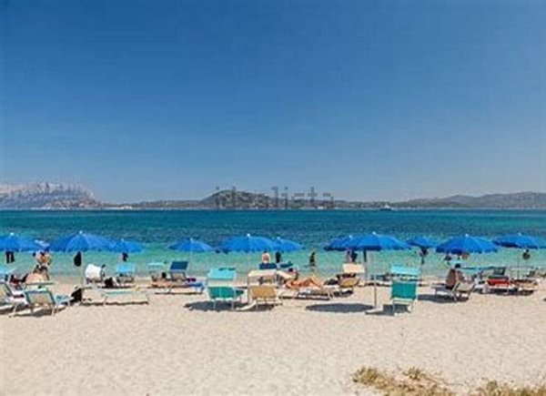 appartamento in affitto ad Olbia