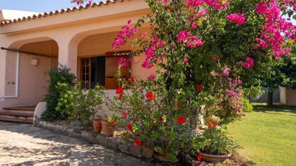 casa indipendente in affitto ad Olbia in zona Pittulongu