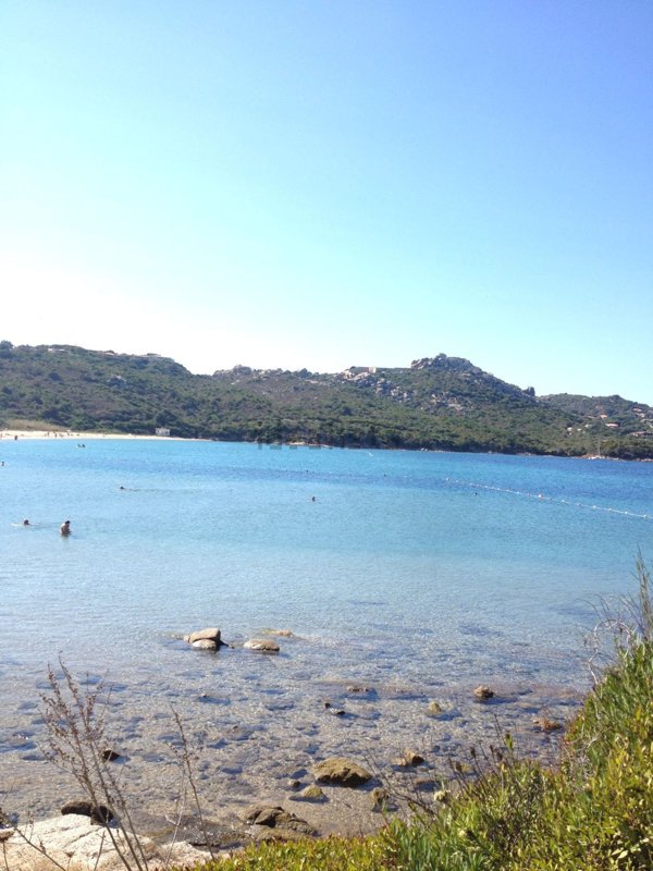 appartamento in affitto a Palau