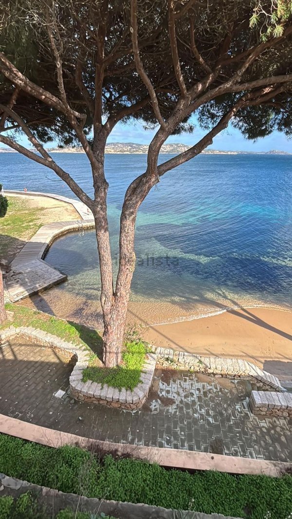 appartamento in affitto a Palau