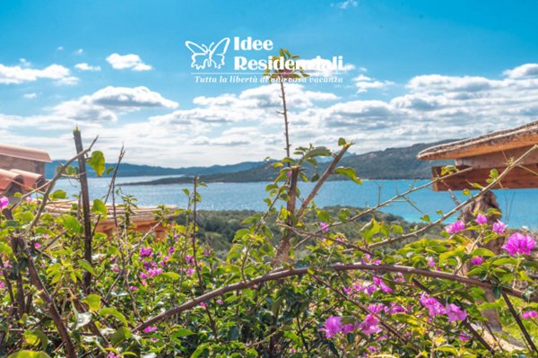 appartamento in affitto a Palau