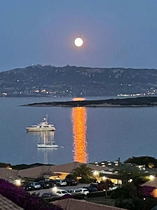 appartamento in affitto a Palau