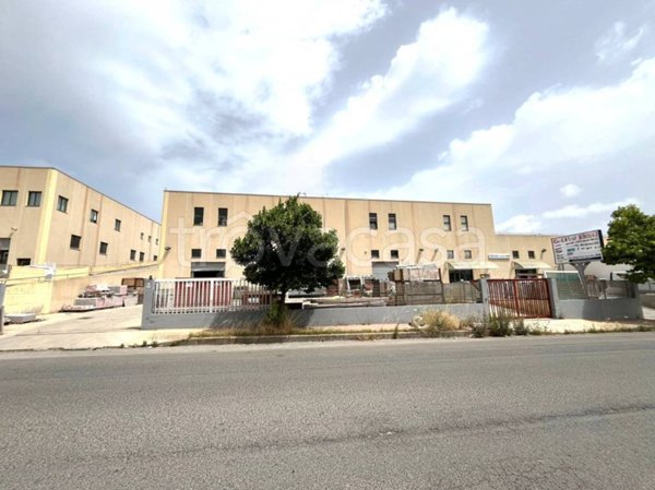 negozio in affitto a Sassari in zona Predda Niedda