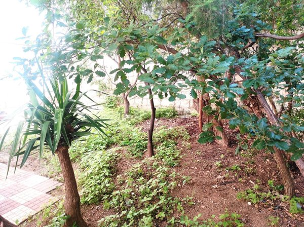 appartamento in affitto a Sassari in zona Luna e Sole / Prunizzedda