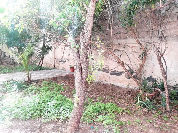 appartamento in affitto a Sassari in zona Luna e Sole / Prunizzedda