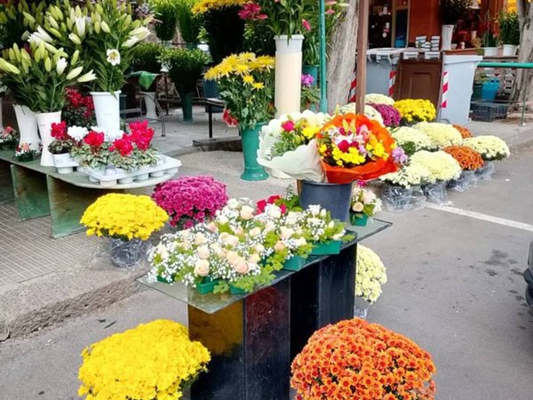 negozio in affitto a Sassari in zona Caniga