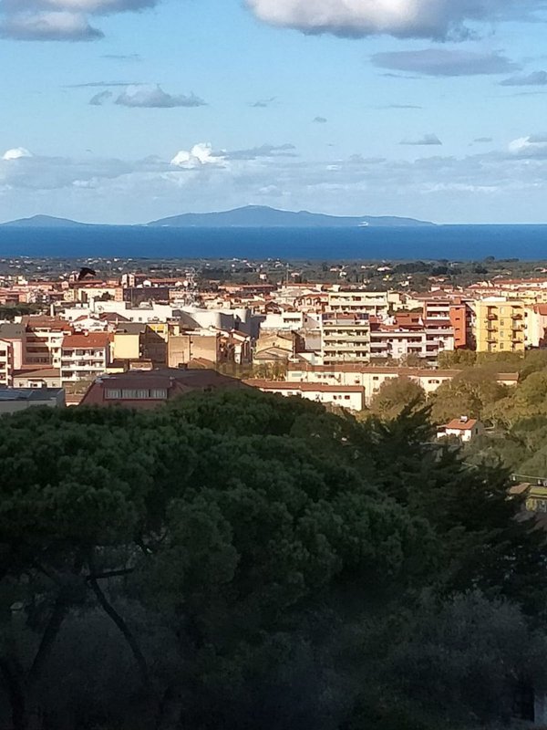 appartamento in affitto a Sassari