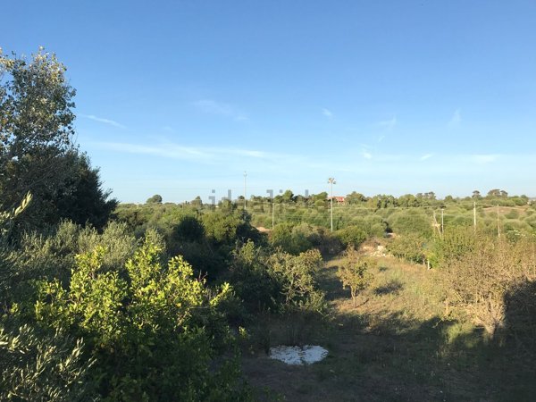 appartamento in affitto a Sassari