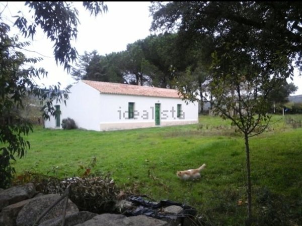 pentavano in affitto a Tempio Pausania