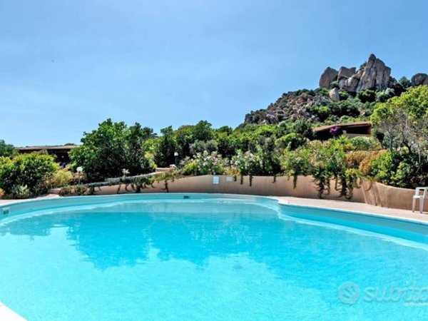 appartamento in affitto a Trinità d'Agultu e Vignola in zona Costa Paradiso