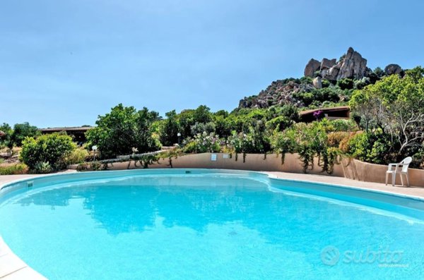 appartamento in affitto a Trinità d'Agultu e Vignola in zona Costa Paradiso