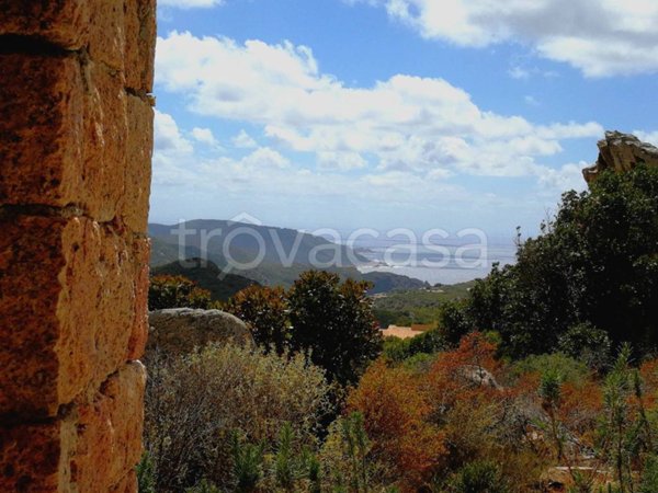 appartamento in affitto a Trinità d'Agultu e Vignola in zona Costa Paradiso