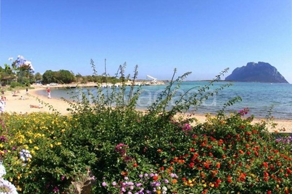 appartamento in affitto a Golfo Aranci in zona Marinella