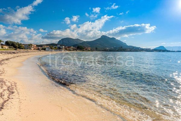 casa indipendente in affitto a Golfo Aranci