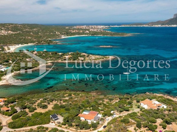 casa indipendente in affitto a Golfo Aranci