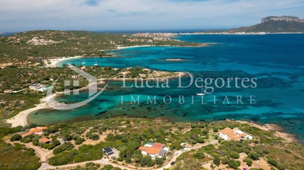 casa indipendente in affitto a Golfo Aranci