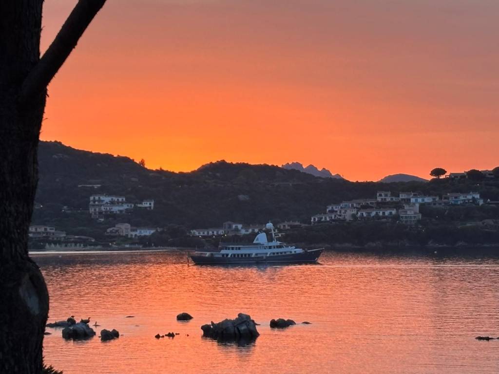 appartamento in affitto a Golfo Aranci
