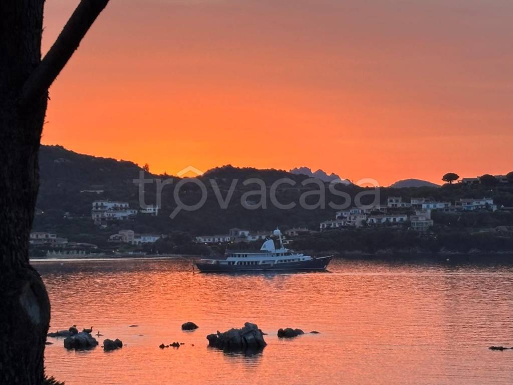 appartamento in affitto a Golfo Aranci