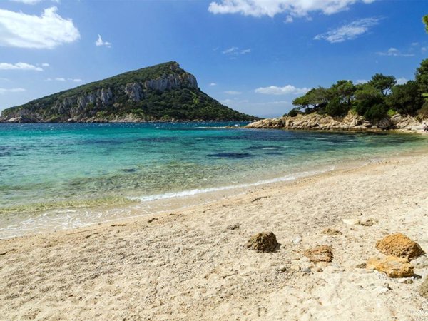 casa indipendente in affitto a Golfo Aranci