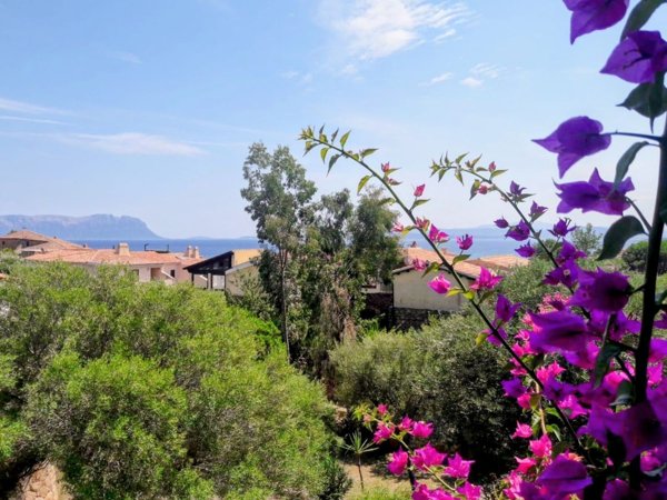 casa indipendente in affitto a Golfo Aranci