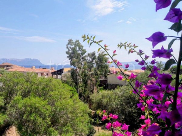 casa indipendente in affitto a Golfo Aranci