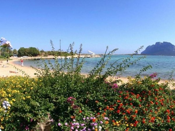 appartamento in affitto a Golfo Aranci in zona Marinella