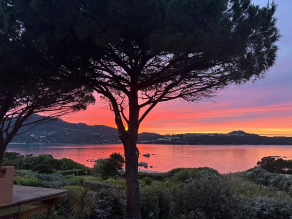 appartamento in affitto a Golfo Aranci in zona Marinella