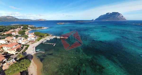 appartamento in affitto a Loiri Porto San Paolo