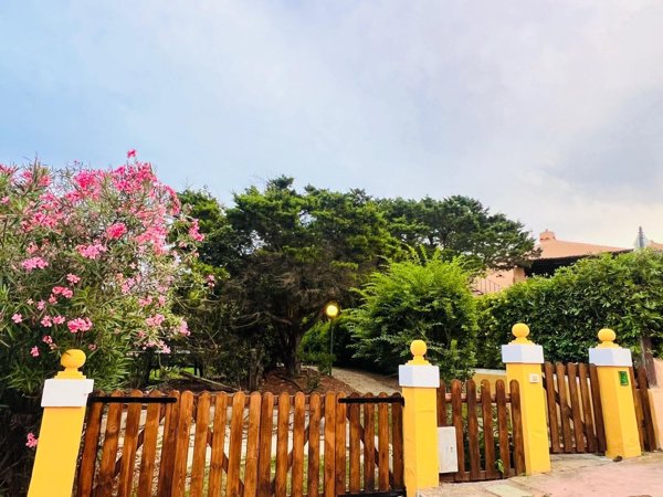 appartamento in affitto a Stintino