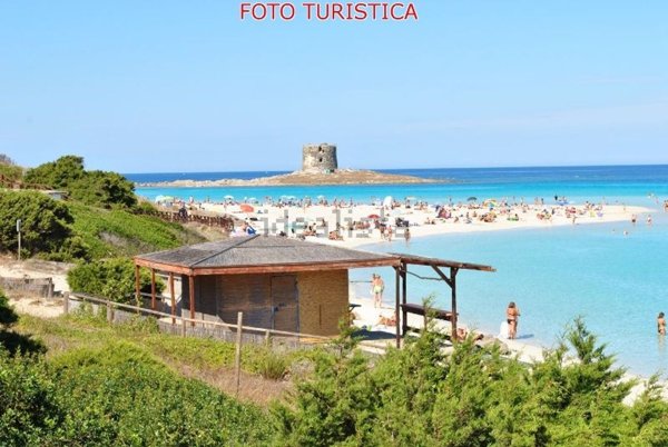 appartamento in affitto a Stintino