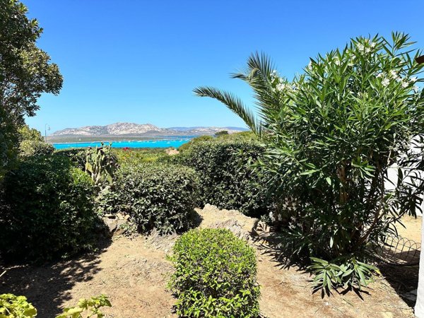 appartamento in affitto a Stintino