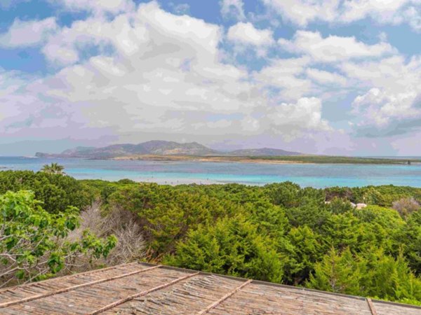 appartamento in affitto a Stintino