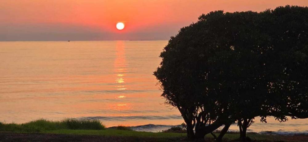 casa indipendente in affitto a Stintino