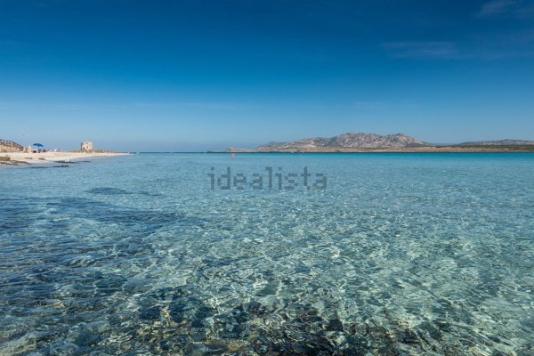 appartamento in affitto a Stintino