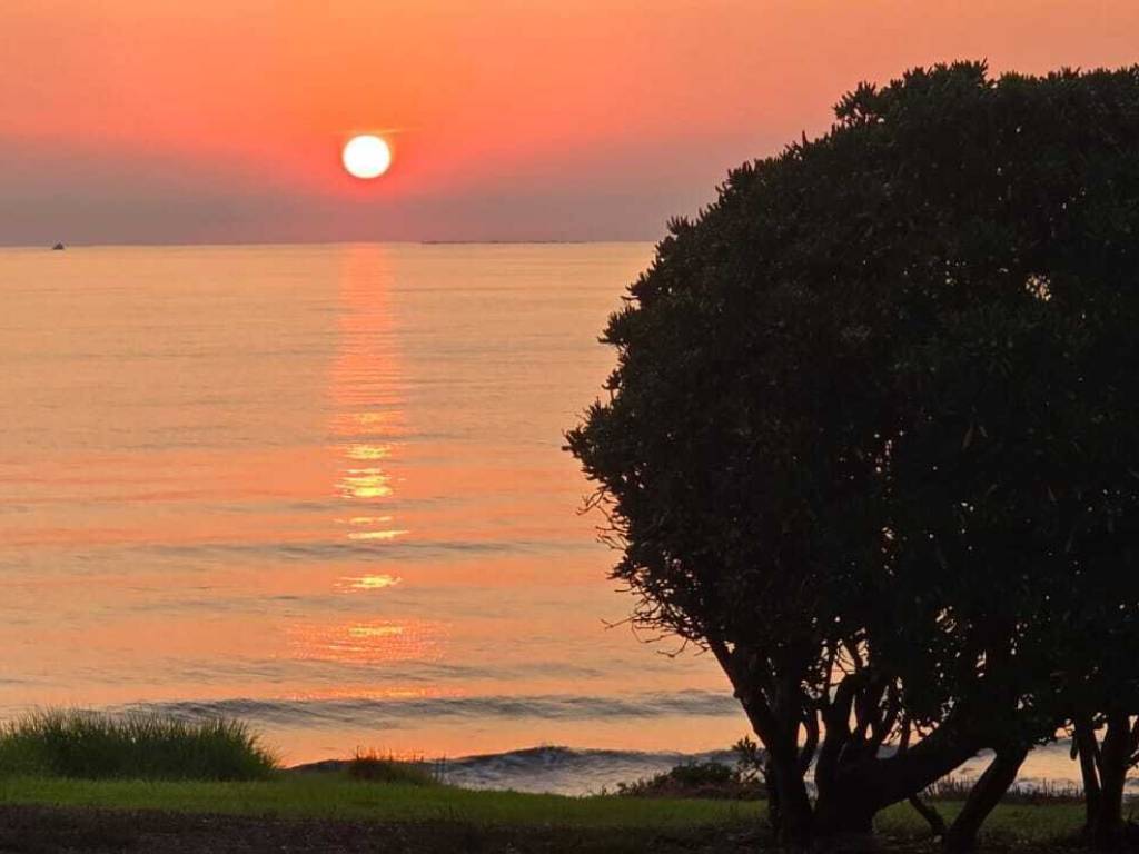 casa indipendente in affitto a Stintino
