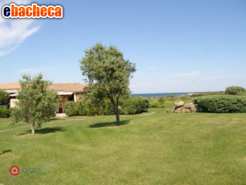 appartamento in affitto a San Teodoro(SS)