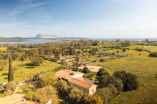appartamento in affitto a San Teodoro(SS) in zona La Cinta