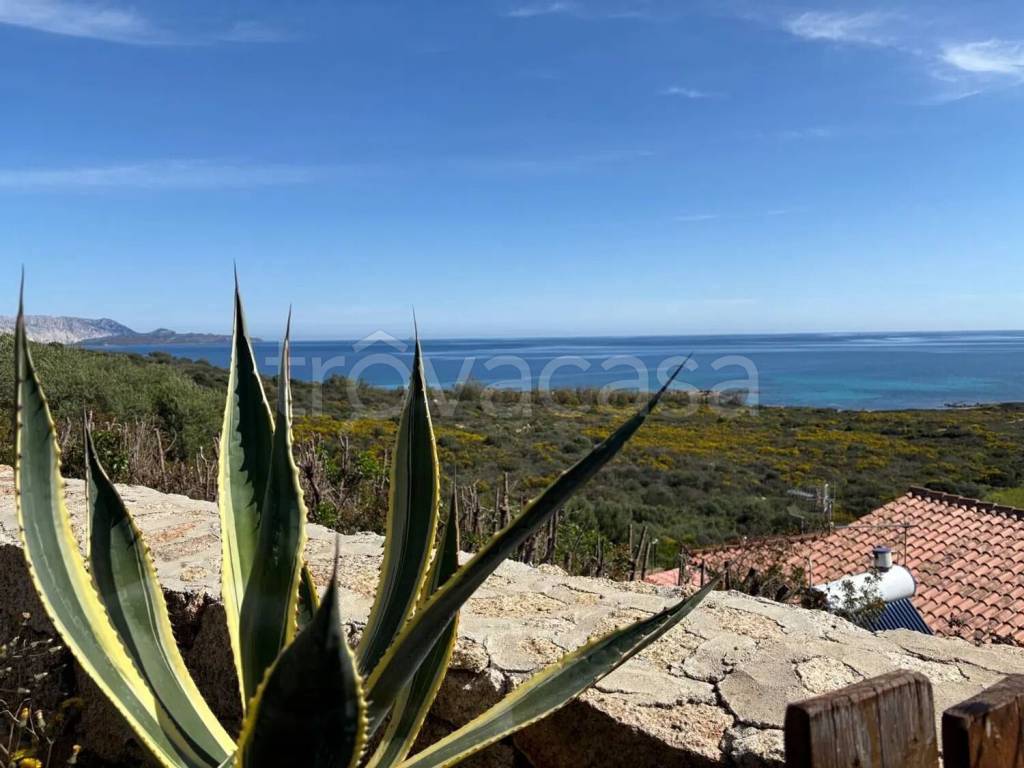 appartamento in affitto a San Teodoro(SS) in zona San Teodoro centro