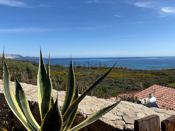 appartamento in affitto a San Teodoro(SS) in zona San Teodoro centro