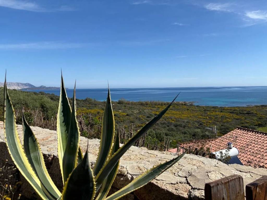 appartamento in affitto a San Teodoro(SS) in zona San Teodoro centro