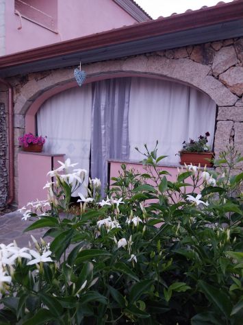 appartamento in affitto a San Teodoro(SS) in zona La Cinta